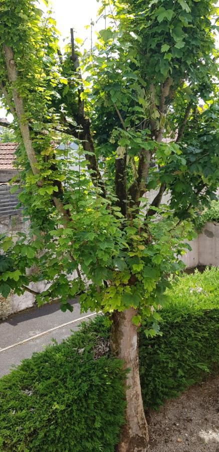 De 12m² Calme Proche Chu Appartement